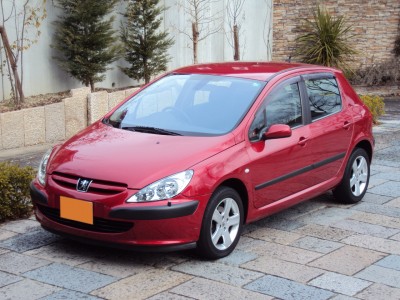 h13peugeot307s
