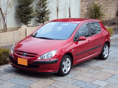 h13peugeot307s