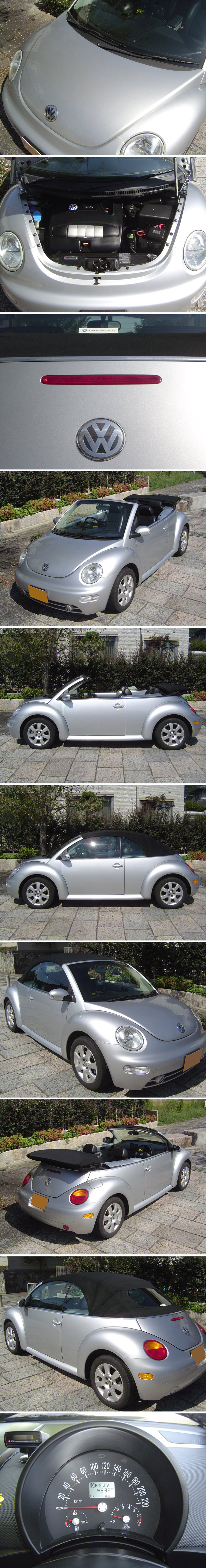 h15newbeetle_conv02